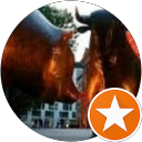 Maitland Shores profile picture